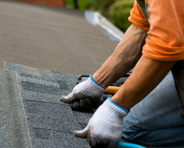 Best Roof Gutter Cleaning  in Big Stone Gap, VA
